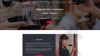 find-on-web-cration-web-maison-louis-vin
