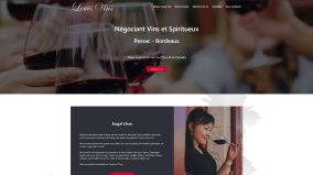 find-on-web-cration-web-maison-louis-vin